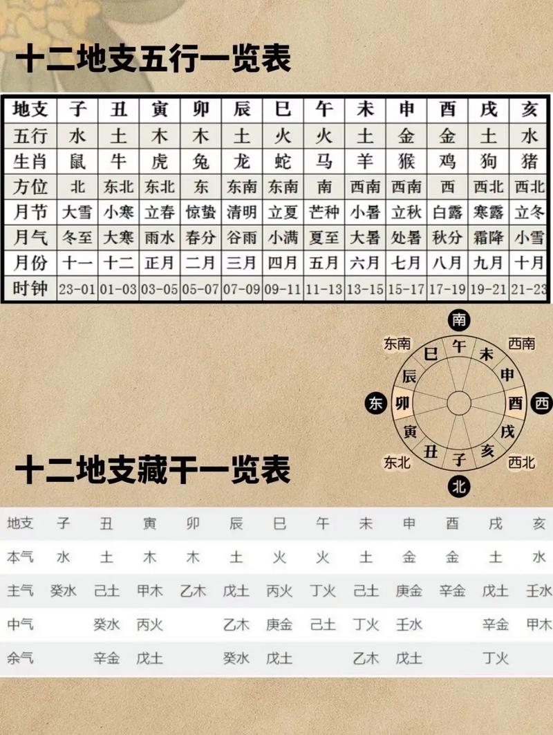 八字命理中地支分别代表哪些含义？