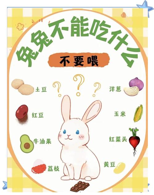 生肖兔人最忌讳的三个东西是什么？