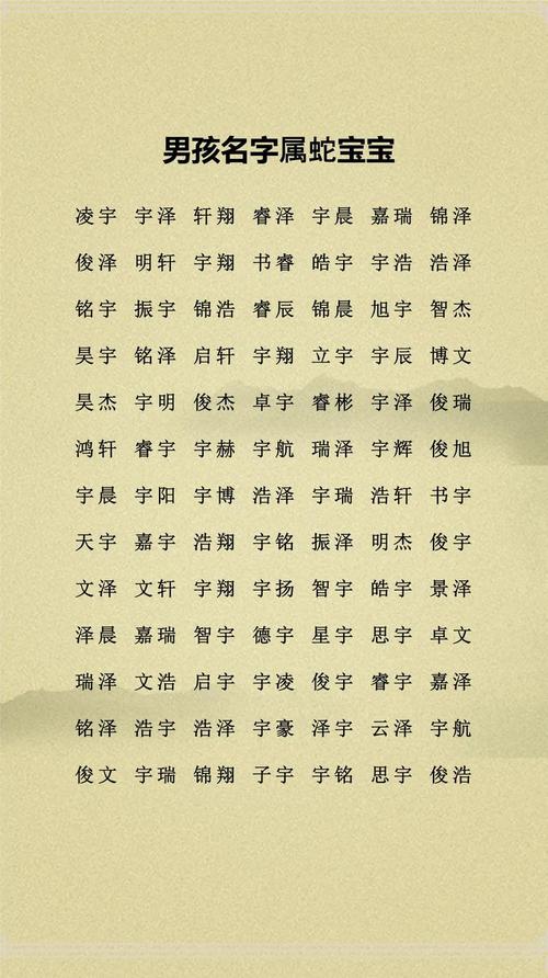 车姓有诗意的男孩名字，有没有什么特别有韵味的名字推荐呢？