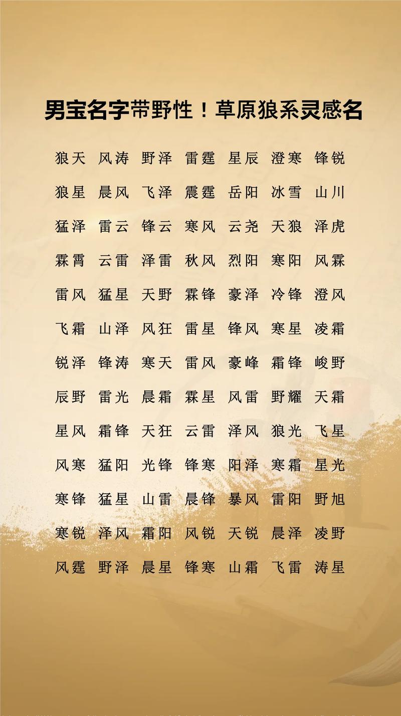野字五行属什么，如何根据五行原理为男孩起名？