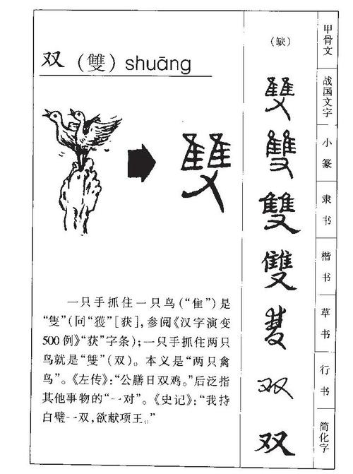 请问双字五行属性具体属于哪个类别？