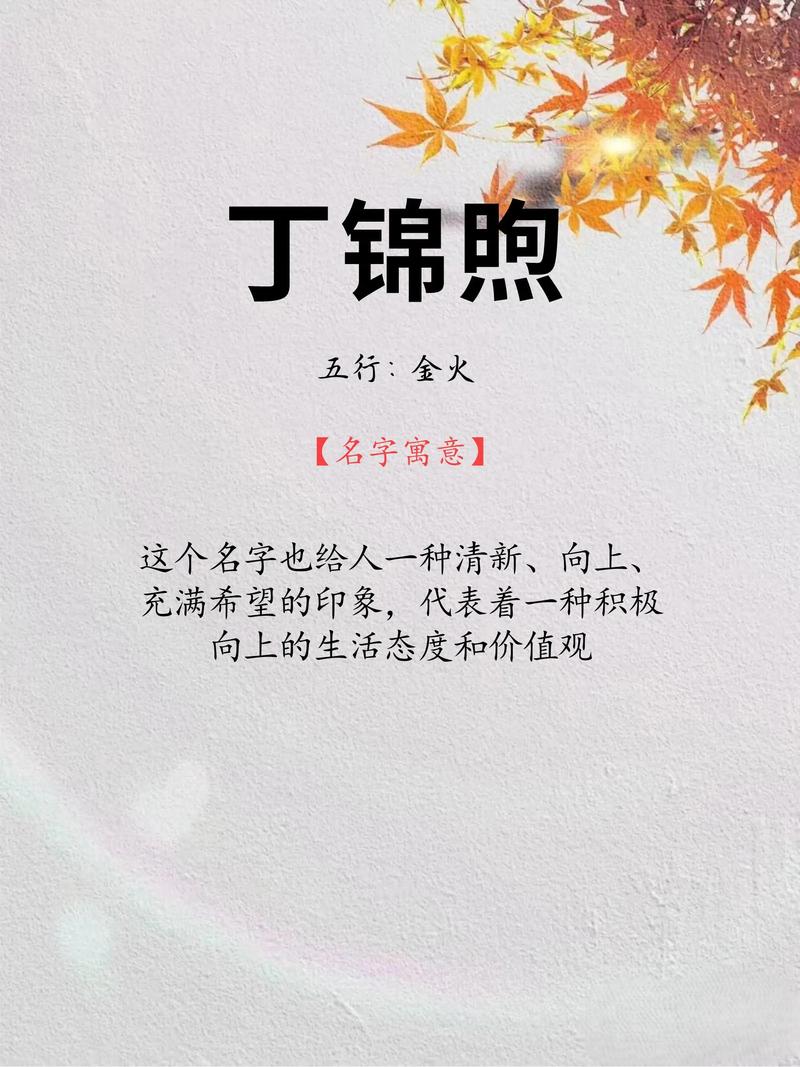 丁姓男孩名字中哪个最优美？