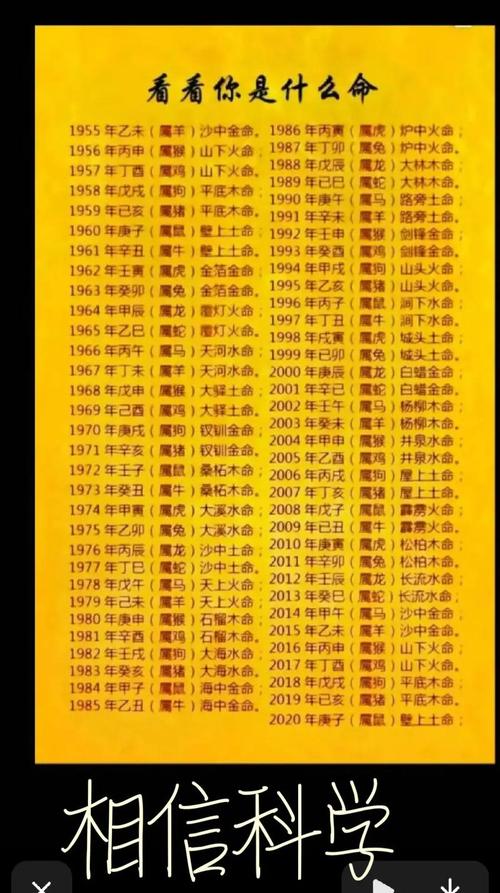 农历1995404是什么命？嫩否告诉我对应的命理特点？