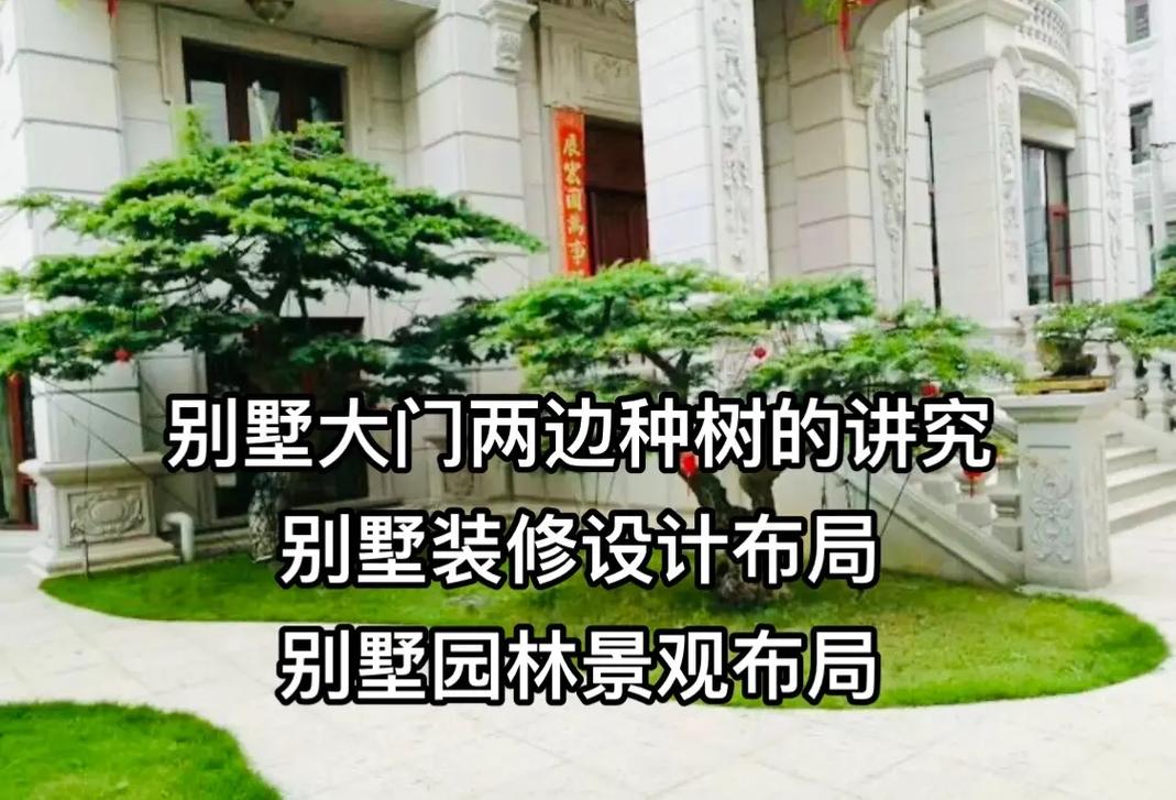 顶楼嫩种树吗？风水不好该如何改善？