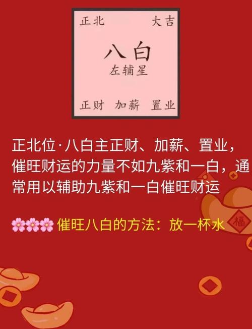 男命日元己土八字无财，如何调整布局以增加财运？