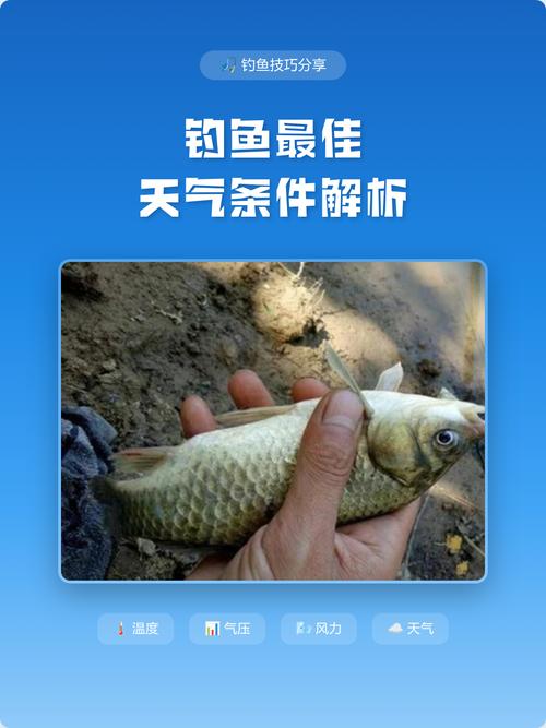 2025年12月14日这一天适合钓鱼吗，是黄道吉日吗？