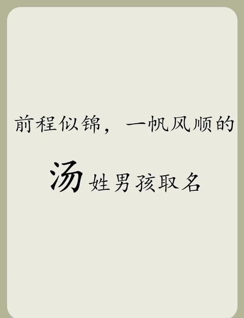 姓汤的男孩取个有创意的名字，有没有什么好建议？