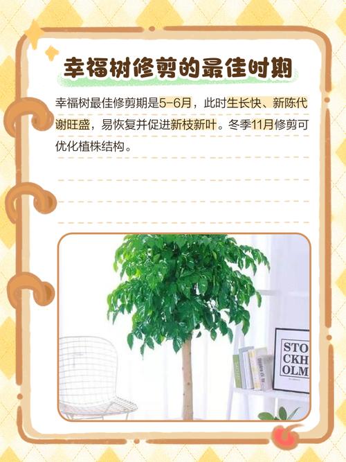 修剪树枝对住宅风水有影响吗？
