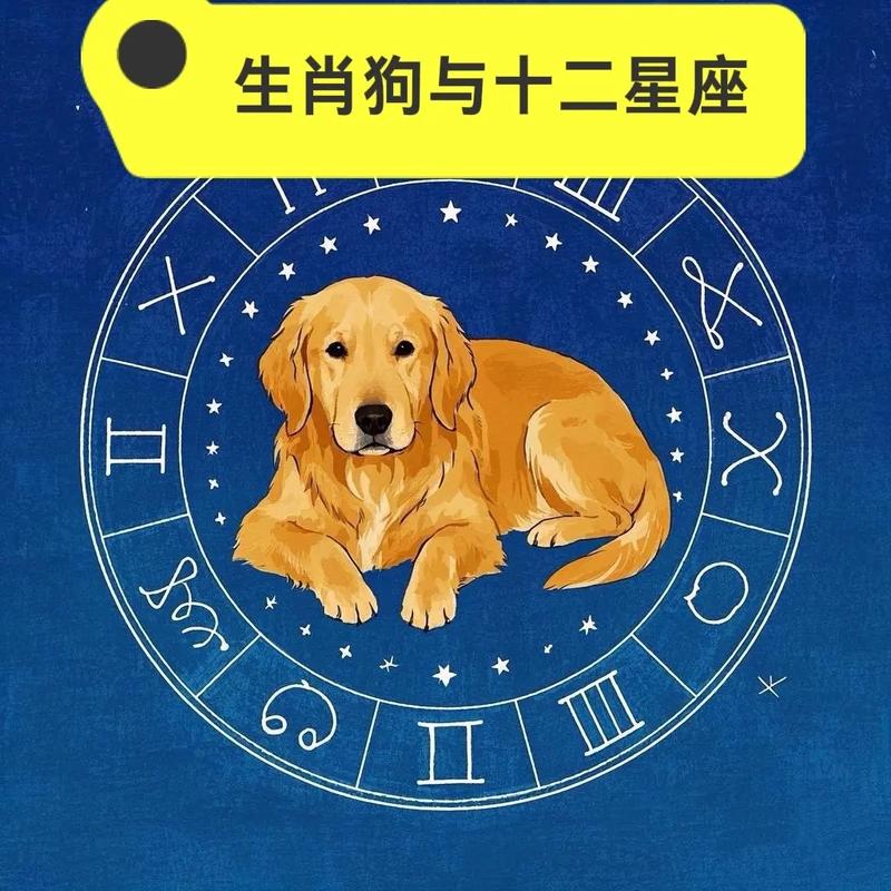 正月的狗究竟属于哪个命格呢？