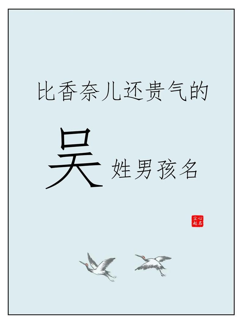 有哪些冷门独特的吴姓男孩名字可依取？