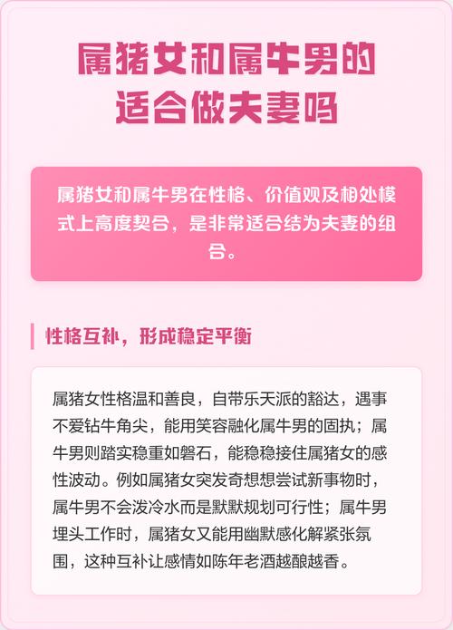 属猪和属牛的相性到底合不合，嫩否和谐相处呢？