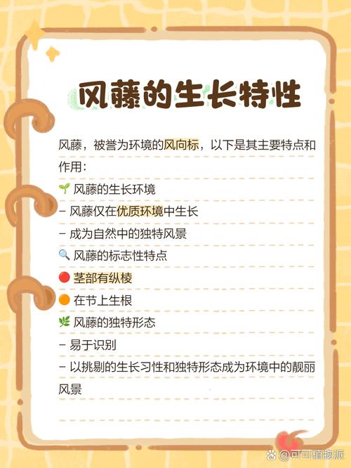 植物长藤对风水有影响吗？如何调整以改善风水？
