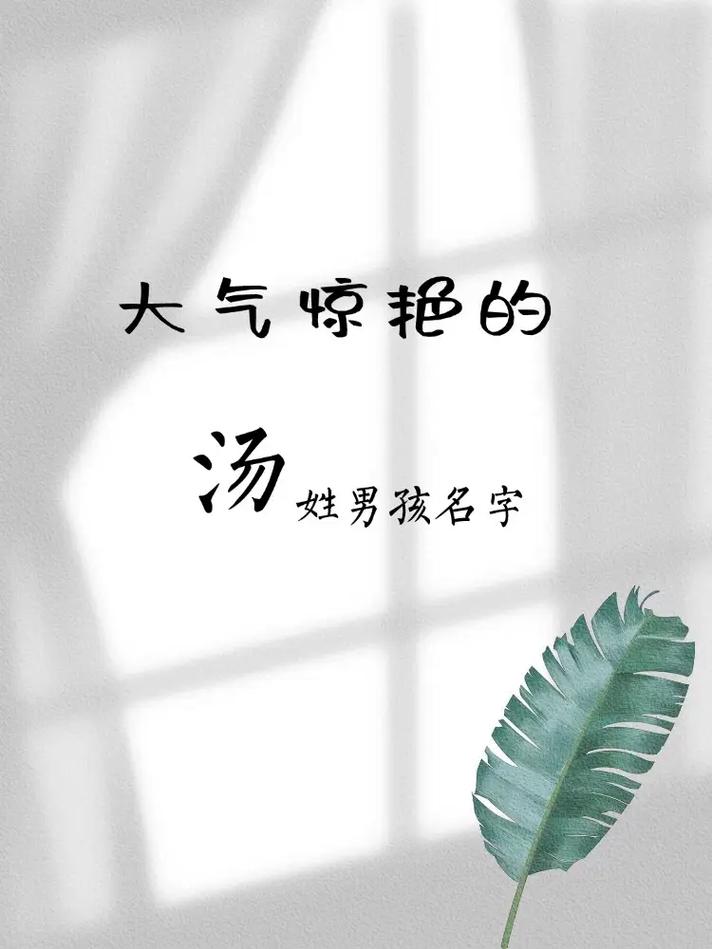 姓汤的男孩起一个有气质的名字，有没有什么好的建议呢？