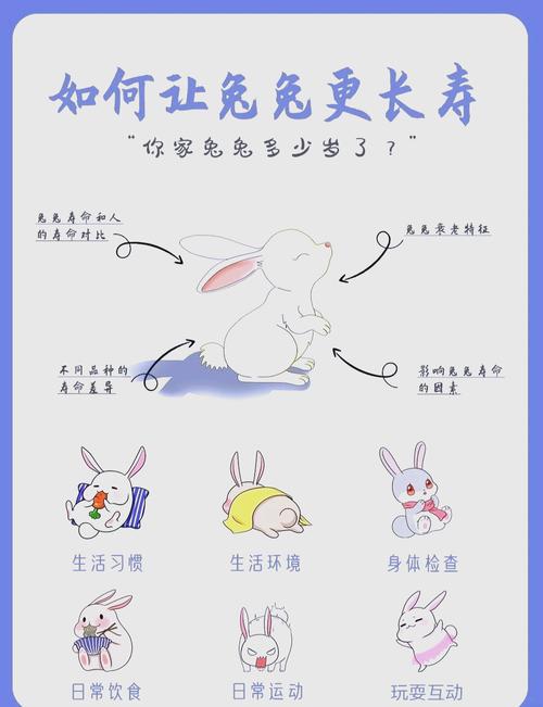 今年兔子什么命为何好运，却比不上好运本身带来的幸运呢？