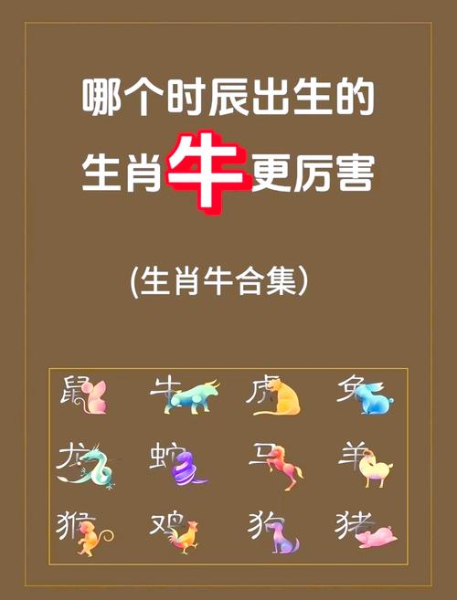 2023牛年宝宝命运如何，今年牛年出生的宝宝是什么命？
