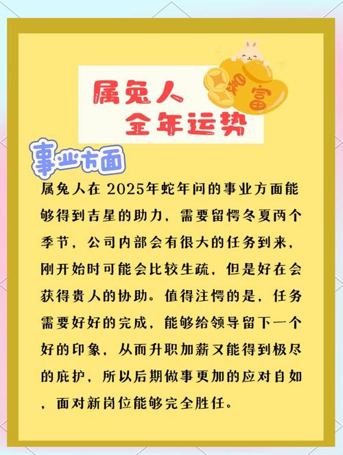 2025年属兔人下半年运势怎么样？