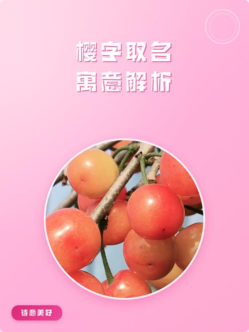 樱字取名与风水或五行有何关联？