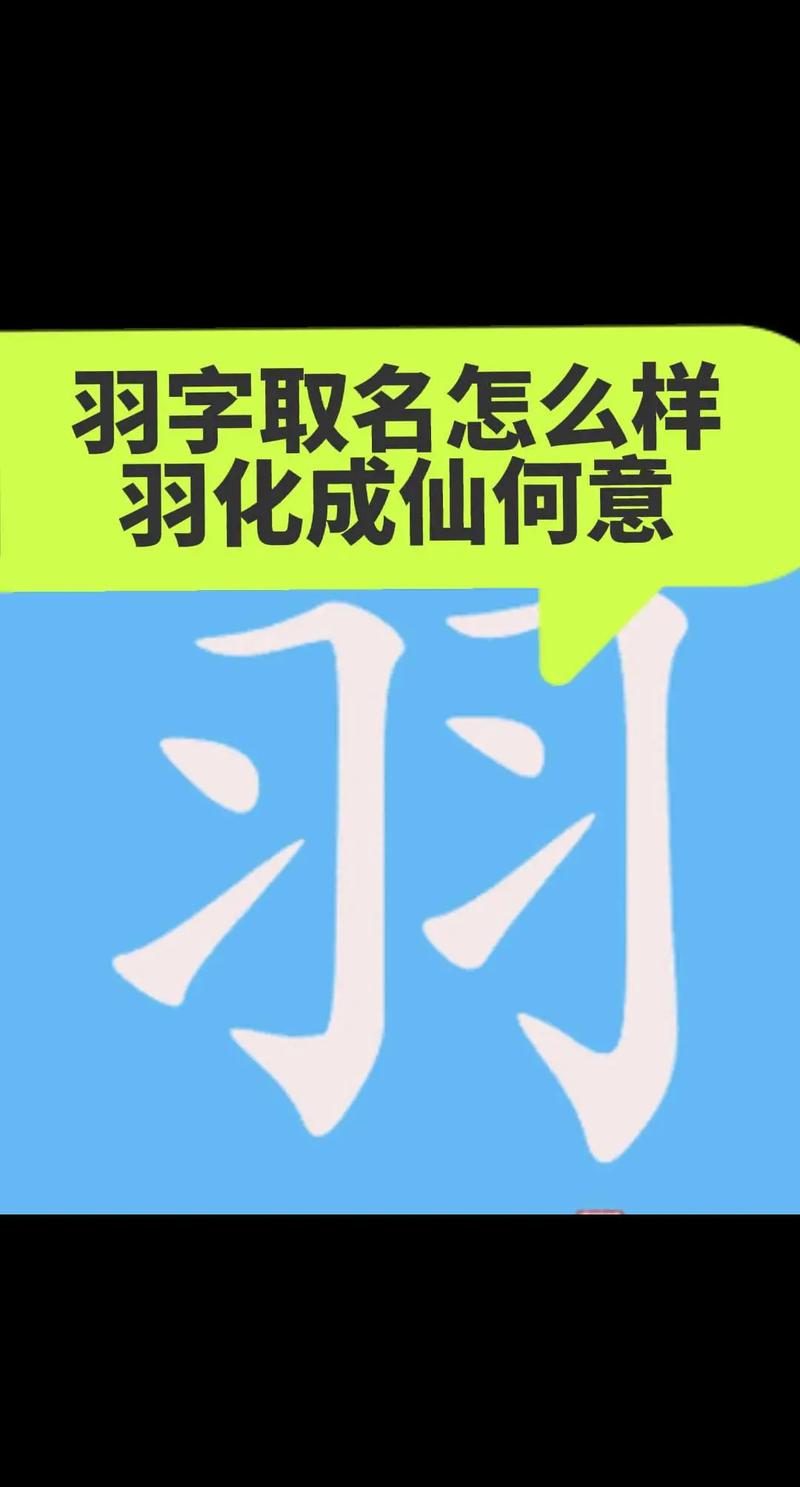 羽字取名寓意女孩，能否体现优雅与轻盈之美？