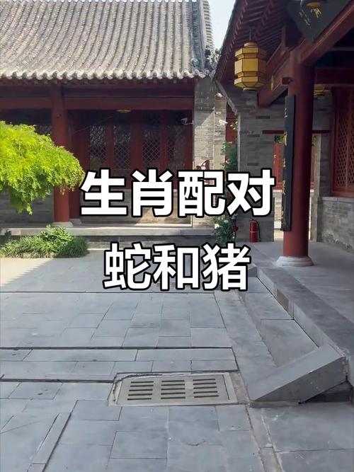 属猪和属蛇的婚姻配对是否合适？