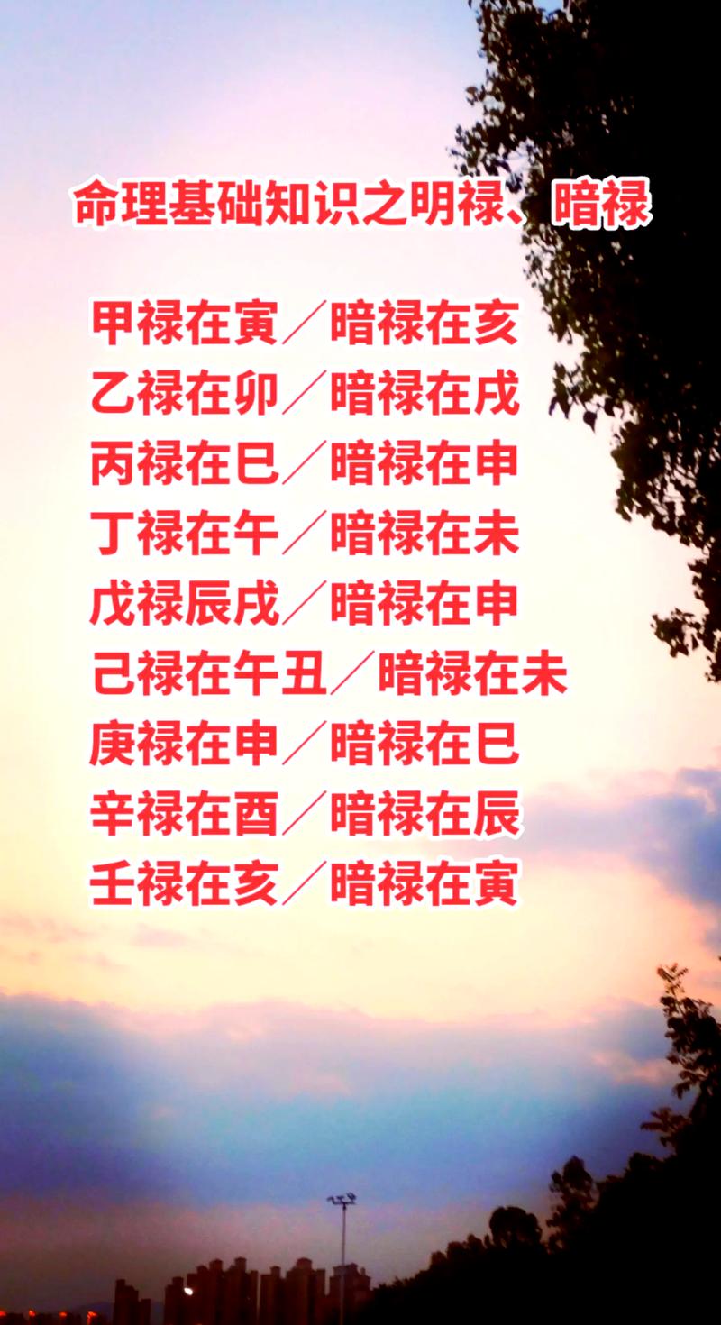 八字中八禄是什么命，它代表着什么样的命运走向或人生寓意呢？
