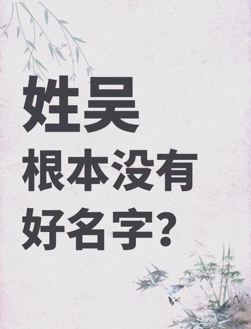吴姓男宝宝名字中蕴含灵气，有没有什么特别的可以形容？