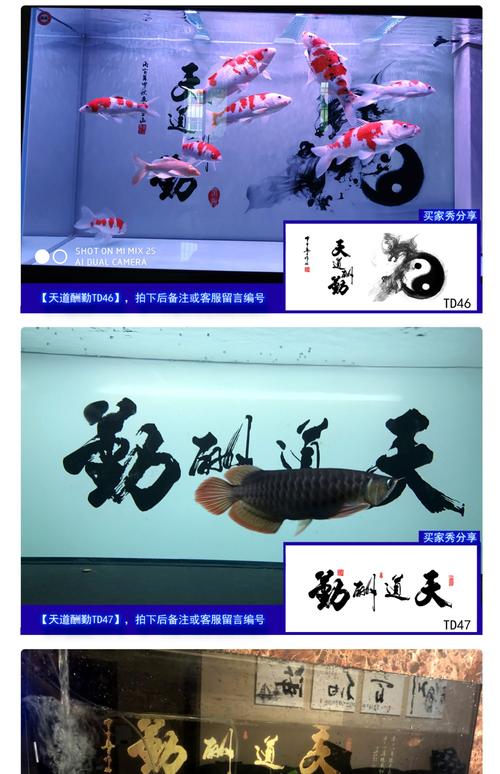 鱼缸背景书法究竟在风水上有哪些讲究呢？