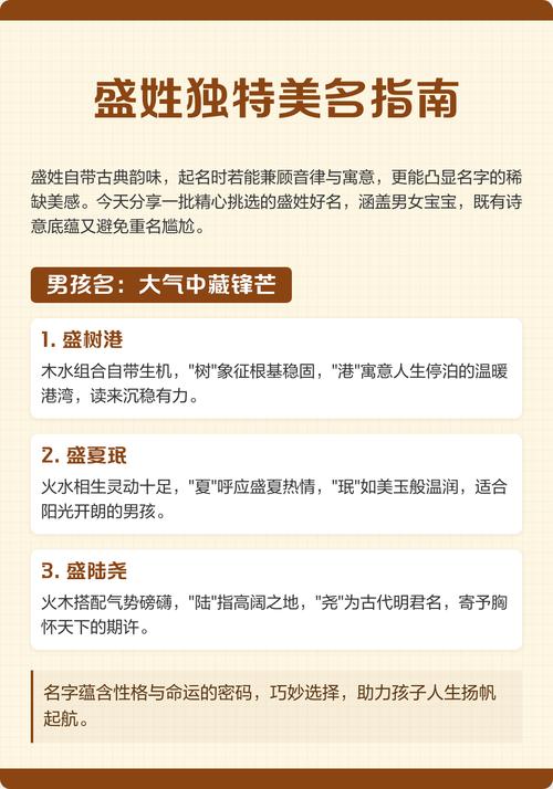 有哪些盛姓冷门独特的男孩名字可以取？