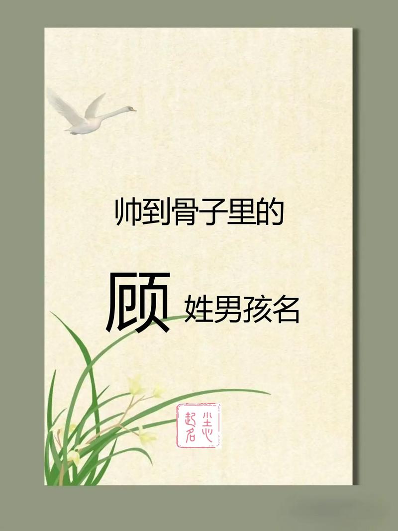 顾姓宝宝取名，有没有什么既冷门又独特的男宝宝名字推荐呢？