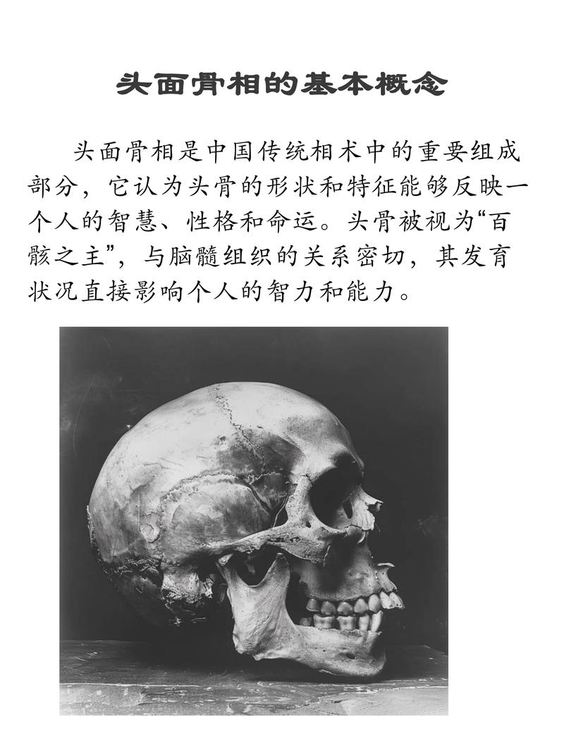 谁的头骨硬，命运会是怎样的独特命格呢？
