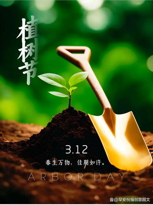 2025年11月20日这天适合种植树木吗？