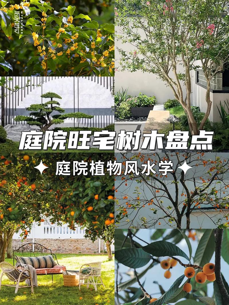 屋顶种树对风水有影响吗？合适吗？