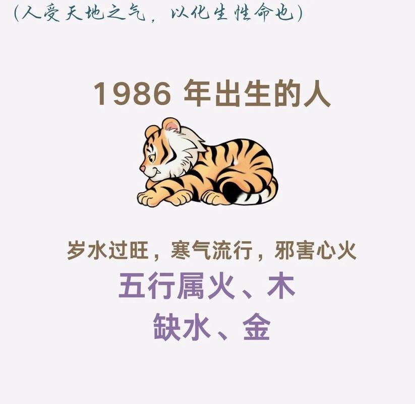 属虎男孩的命格究竟是什么？能否揭示他的命运之谜？