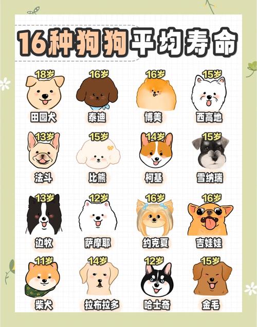 属狗人的短命命格是否可以通过某种方法改变或延长寿命？