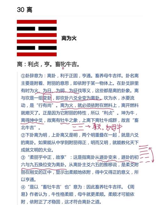 八字命理中，离祖之命究竟意味着什么？