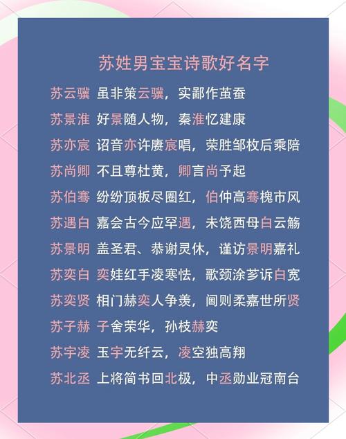 苏姓男宝宝名字中蕴含美好寓意的，有没有什么特别的推荐呢？