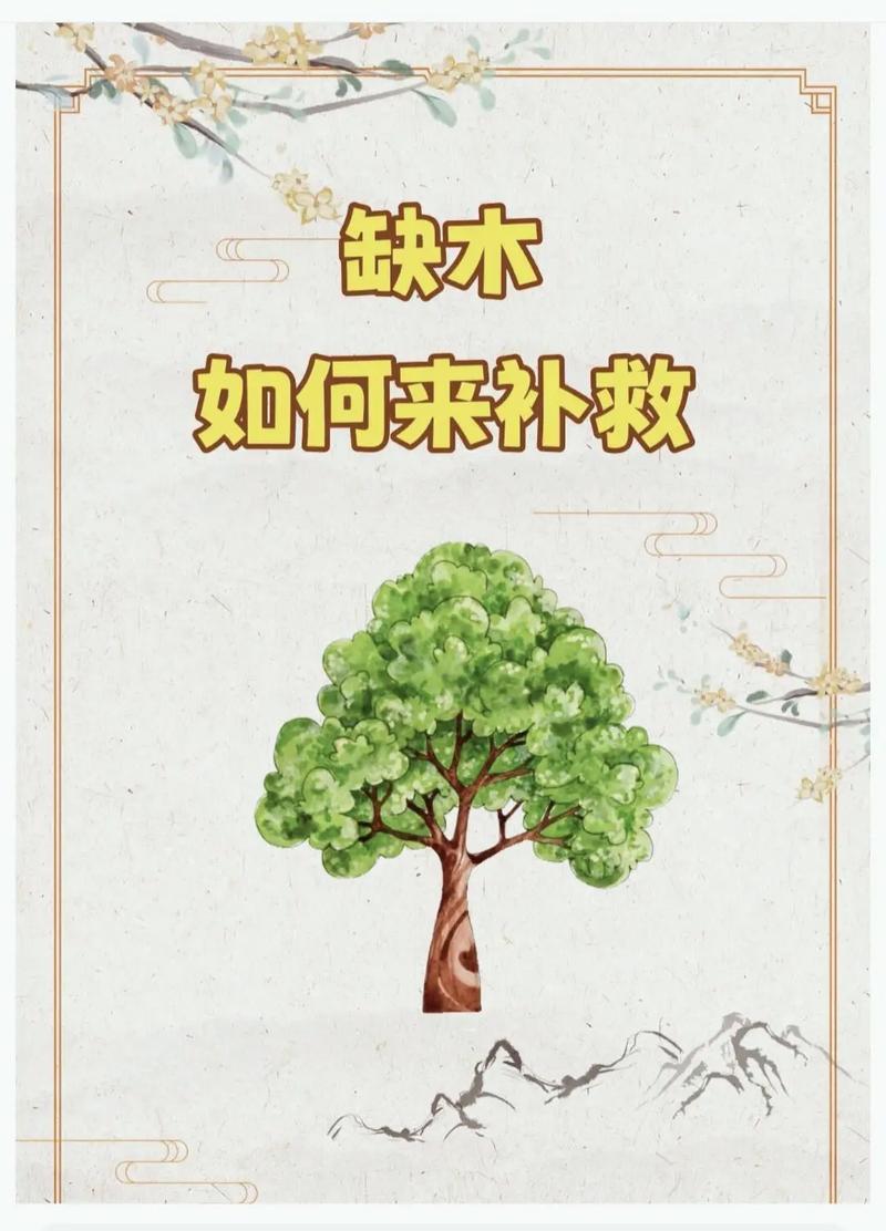 如何通过八字命理调整，改善缺水缺木的运势？