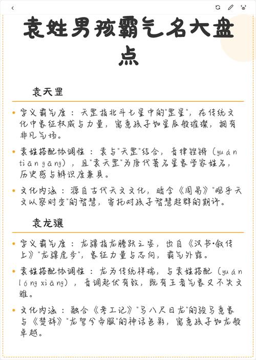 袁姓男孩名字中哪个既优美又大方？