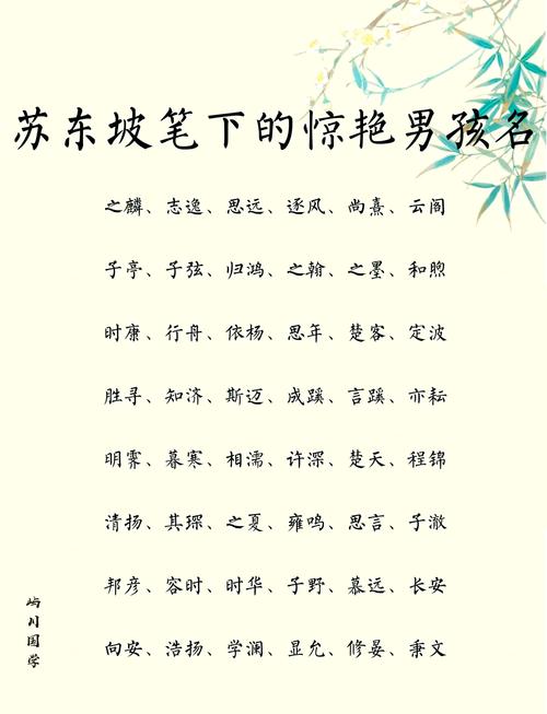昭字取名寓意男孩，能否体现光明磊落、才华横溢的美好品质？