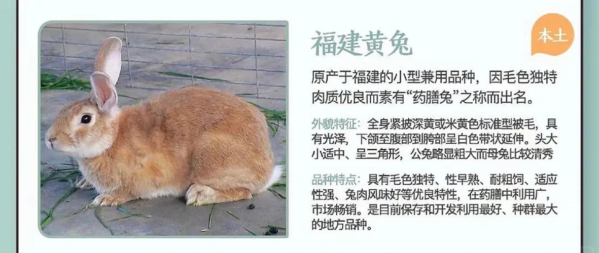 2026年5月12日今日适合养殖什么？黄历推荐养殖哪些动物？