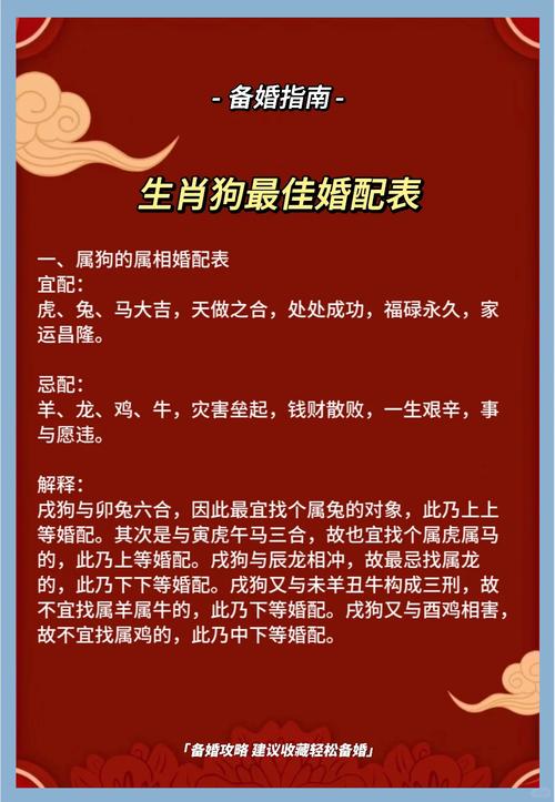 狗年八字合姻缘吗？女命能增加姻缘运势吗？
