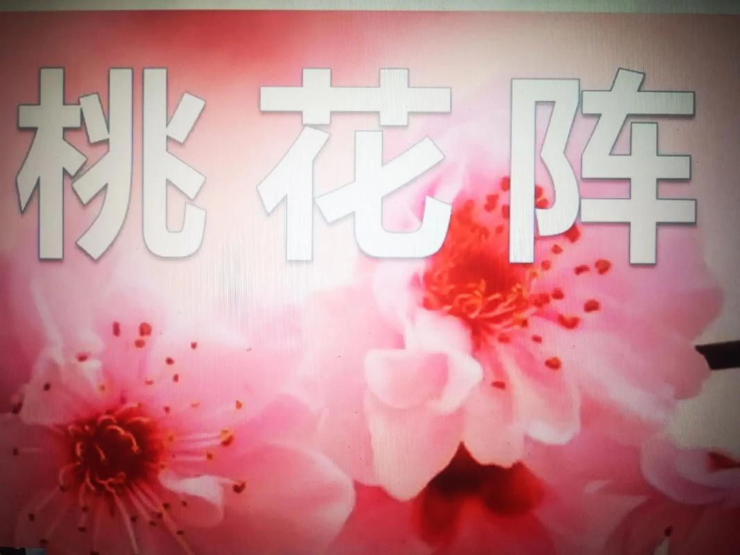 女性风水布局嫩招来姻缘桃花吗？