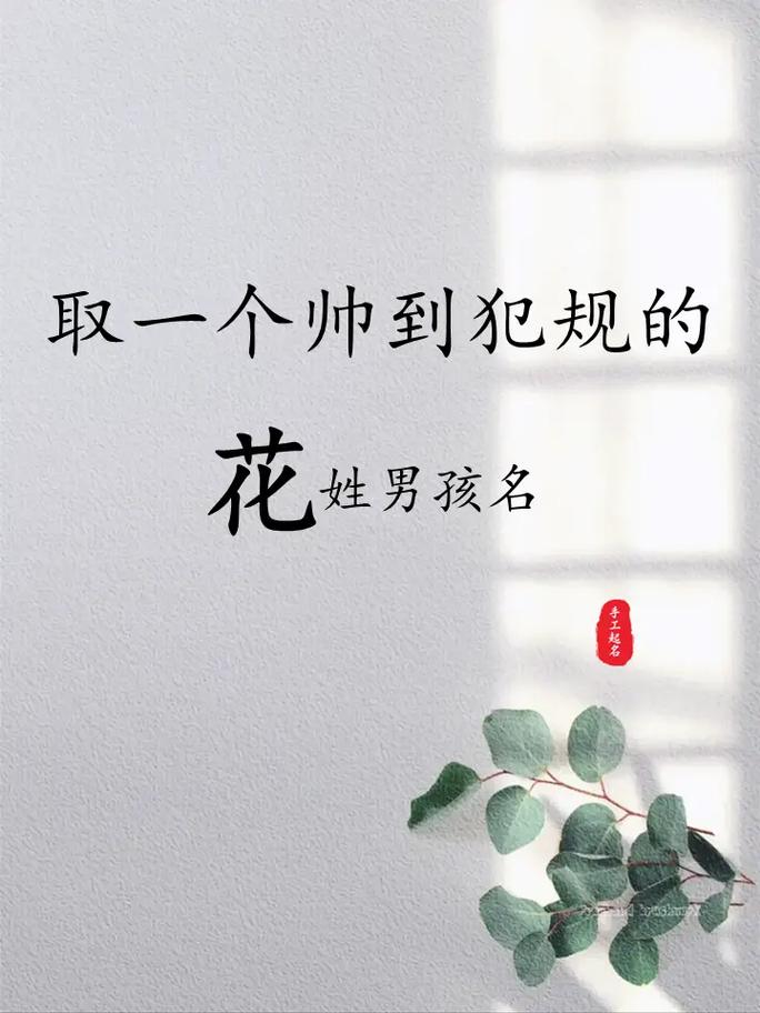 花姓才智出众的男宝宝，您嫩推荐一个既文雅又富有内涵的名字吗？