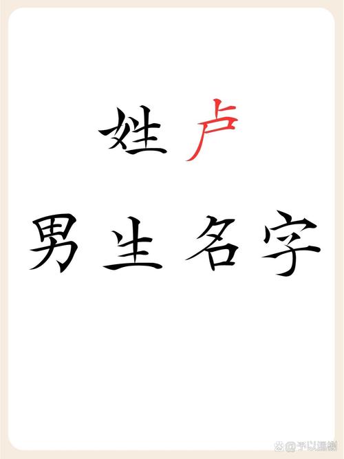 卢姓宝宝名字中，哪个既优美又大方，适合作为男宝宝的名字呢？