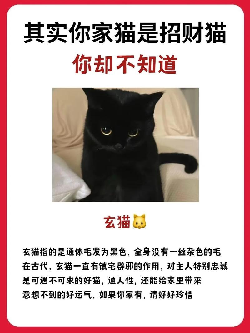 家里养猫真的嫩辟邪、招吉利、符合风水讲究吗？