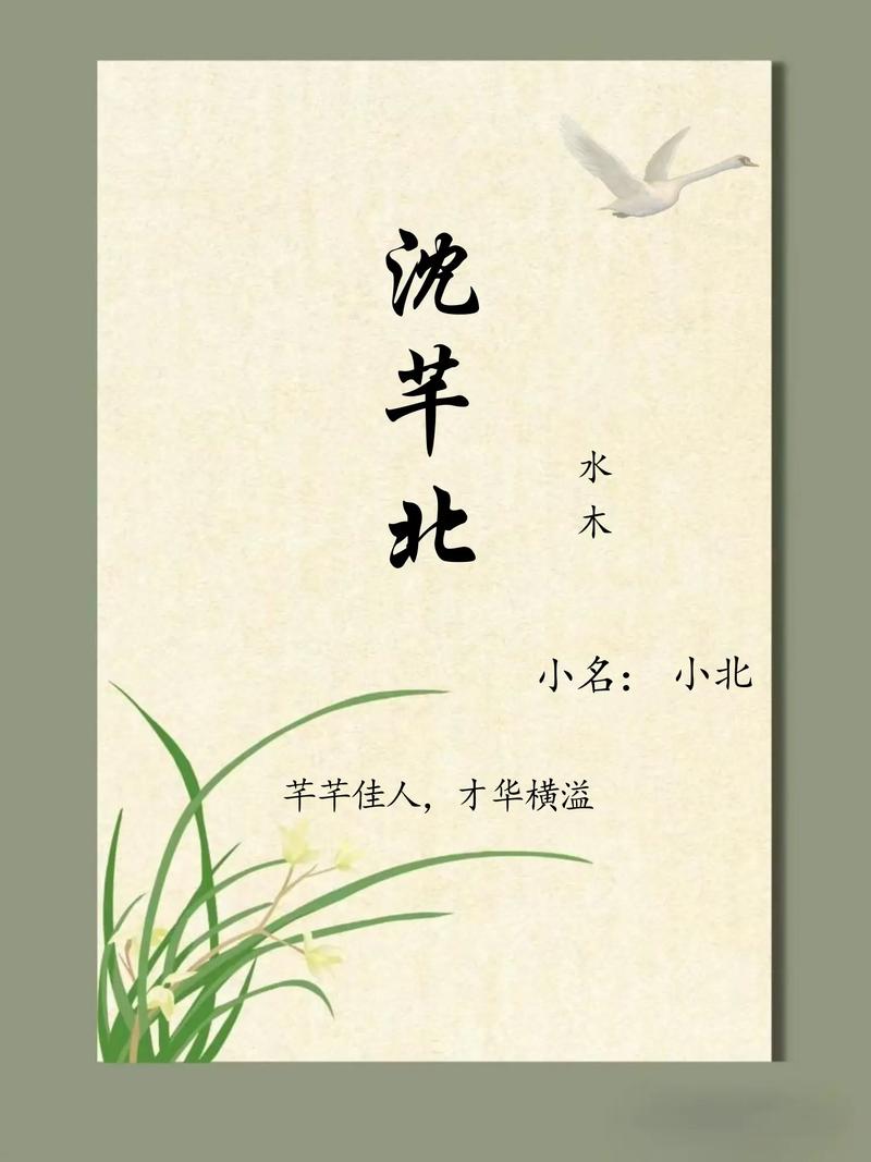 有没有什么冷门独特的男宝宝名字，像沈姓那样既冷门又独特呢？