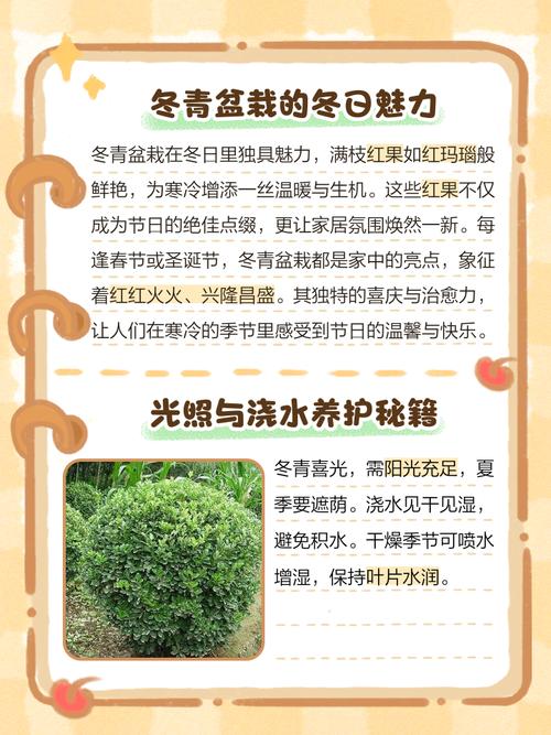 2025年12月31日农历冬月十二适合种植什么植物吗？