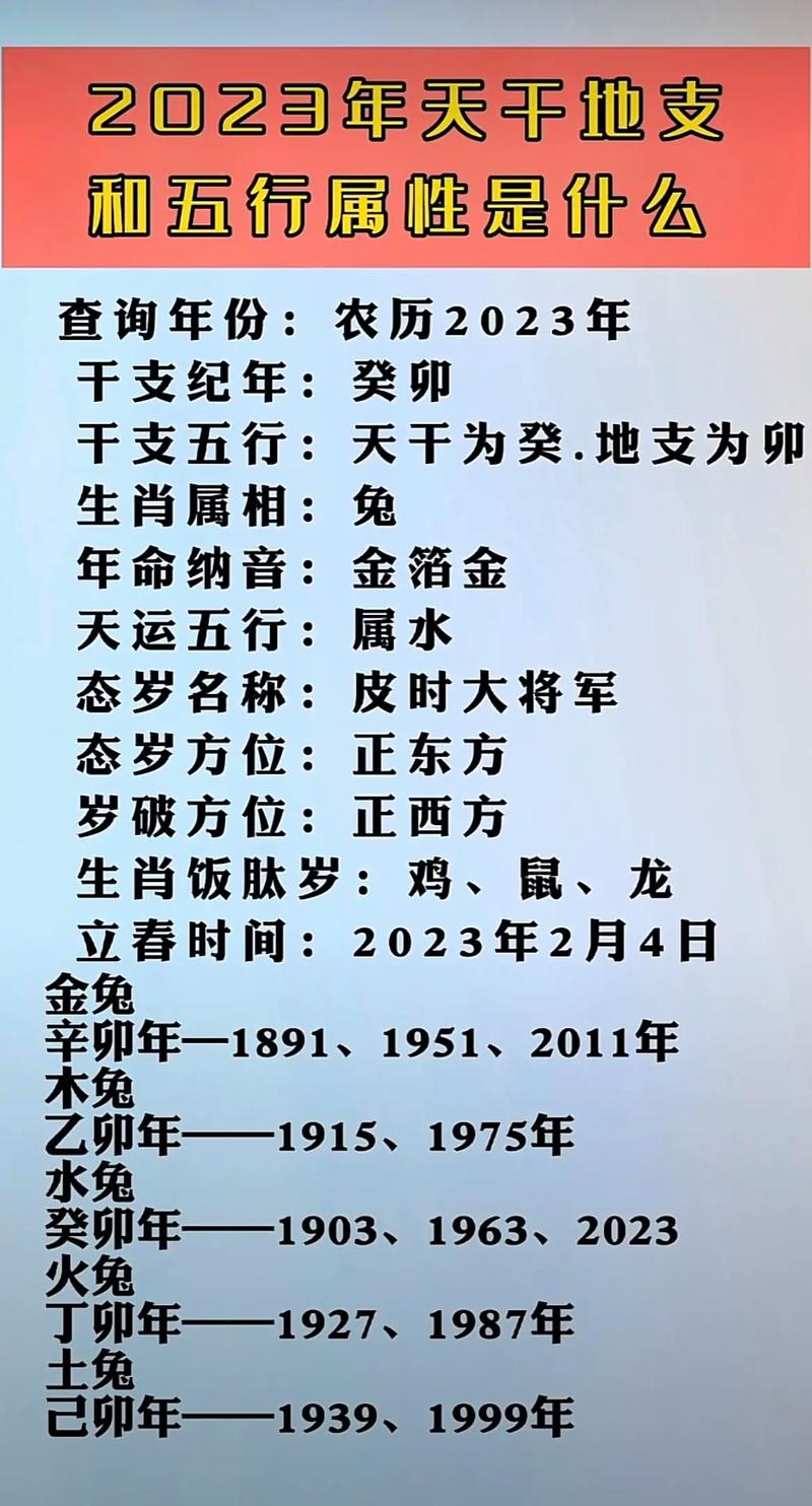 2023年出生的人是什么命？求解答！