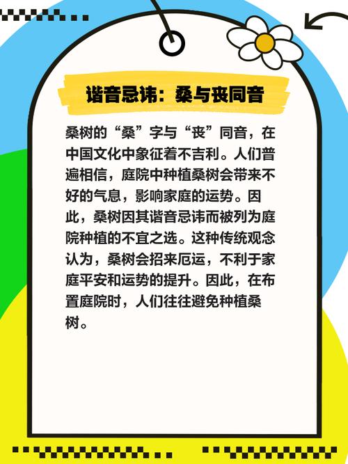 桑树种植时有哪些风水讲究和禁忌需要注意？