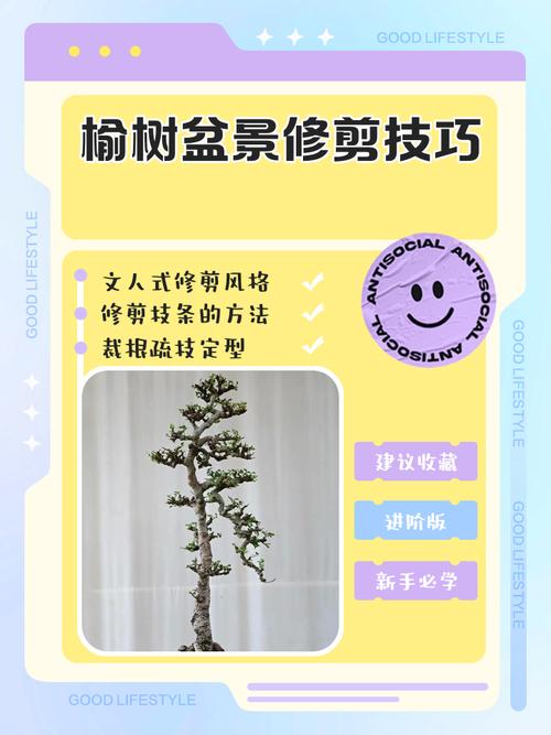 榆树修剪去掉树头会对家宅风水产生什么影响？