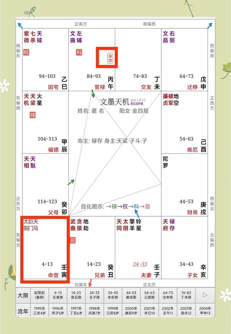 紫微斗数中，哪些十大命格蕞为关键，嫩决定一个人的命运走向？